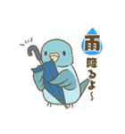 インコ達の夏スタンプ（個別スタンプ：14）