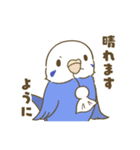 インコ達の夏スタンプ（個別スタンプ：16）
