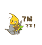 インコ達の夏スタンプ（個別スタンプ：21）