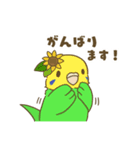 インコ達の夏スタンプ（個別スタンプ：24）