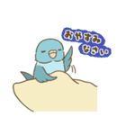 インコ達の夏スタンプ（個別スタンプ：28）