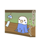 インコ達の夏スタンプ（個別スタンプ：29）