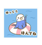 インコ達の夏スタンプ（個別スタンプ：30）