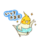 インコ達の夏スタンプ（個別スタンプ：33）