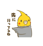 インコ達の夏スタンプ（個別スタンプ：34）