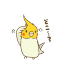 インコ達の夏スタンプ（個別スタンプ：35）