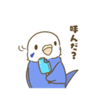 インコ達の夏スタンプ（個別スタンプ：36）