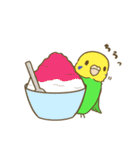 インコ達の夏スタンプ（個別スタンプ：37）
