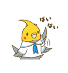 インコ達の夏スタンプ（個別スタンプ：39）