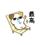 動く！毎日五月病なねこたち 夏スタンプ3（個別スタンプ：10）