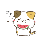 動く！毎日五月病なねこたち 夏スタンプ3（個別スタンプ：12）