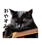 Rock'n'Cat 15（個別スタンプ：4）
