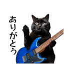 Rock'n'Cat 15（個別スタンプ：5）