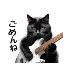 Rock'n'Cat 15（個別スタンプ：6）