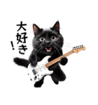 Rock'n'Cat 15（個別スタンプ：7）