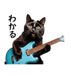 Rock'n'Cat 15（個別スタンプ：10）