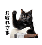 Rock'n'Cat 15（個別スタンプ：13）
