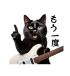 Rock'n'Cat 15（個別スタンプ：25）