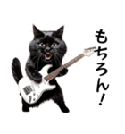 Rock'n'Cat 15（個別スタンプ：27）