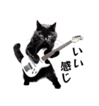 Rock'n'Cat 15（個別スタンプ：31）