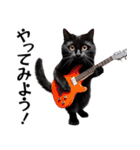 Rock'n'Cat 15（個別スタンプ：32）