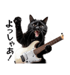 Rock'n'Cat 15（個別スタンプ：34）