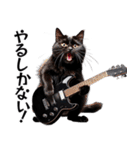 Rock'n'Cat 15（個別スタンプ：35）
