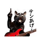 Rock'n'Cat 15（個別スタンプ：37）
