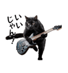 Rock'n'Cat 15（個別スタンプ：39）