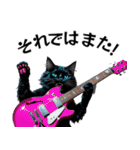 Rock'n'Cat 15（個別スタンプ：40）