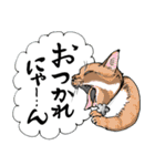 にゃんズの夏 2（個別スタンプ：4）