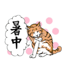 にゃんズの夏 2（個別スタンプ：13）