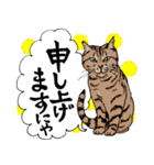 にゃんズの夏 2（個別スタンプ：16）