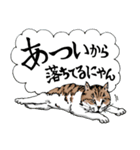 にゃんズの夏 2（個別スタンプ：17）