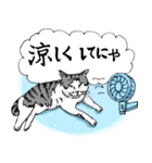 にゃんズの夏 2（個別スタンプ：19）