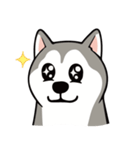 愚かなハスキー（個別スタンプ：6）