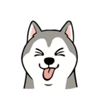愚かなハスキー（個別スタンプ：11）