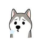 愚かなハスキー（個別スタンプ：13）
