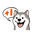 愚かなハスキー（個別スタンプ：31）