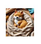 柴犬の日常15（個別スタンプ：24）