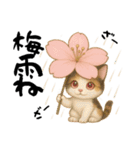 桜にゃん③ふわ夏………………（個別スタンプ：22）