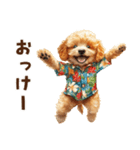 夏の日常！アロハ☆トイプードル（個別スタンプ：1）