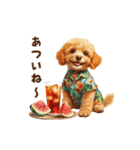 夏の日常！アロハ☆トイプードル（個別スタンプ：3）