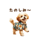 夏の日常！アロハ☆トイプードル（個別スタンプ：13）