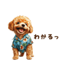 夏の日常！アロハ☆トイプードル（個別スタンプ：14）