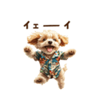 夏の日常！アロハ☆トイプードル（個別スタンプ：24）