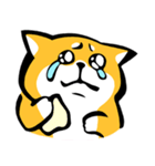 ふでしば【好き、ハート、推し】柴犬（個別スタンプ：40）