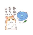 もっと長い夏を過ごすトミー（個別スタンプ：21）