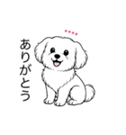 名前入りマルチーズショート（個別スタンプ：1）