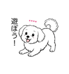 名前入りマルチーズショート（個別スタンプ：5）